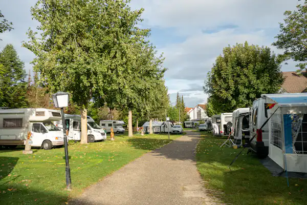 Campingplatz Münsterblick Breisach