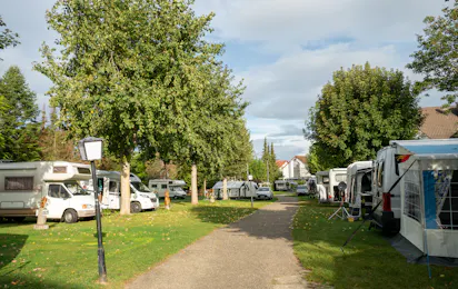 Campingplatz Münsterblick Breisach
