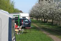 Campingplatz Neßhof - Wohnmobil- und  Wohnwagenstellplätze neben den Kirschbäumen