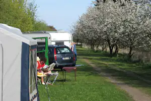 Campingplatz Neßhof - Wohnmobil- und Wohnwagenstellplätze neben den Kirschbäumen