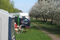 Campingplatz Neßhof - Wohnmobil- und  Wohnwagenstellplätze neben den Kirschbäumen