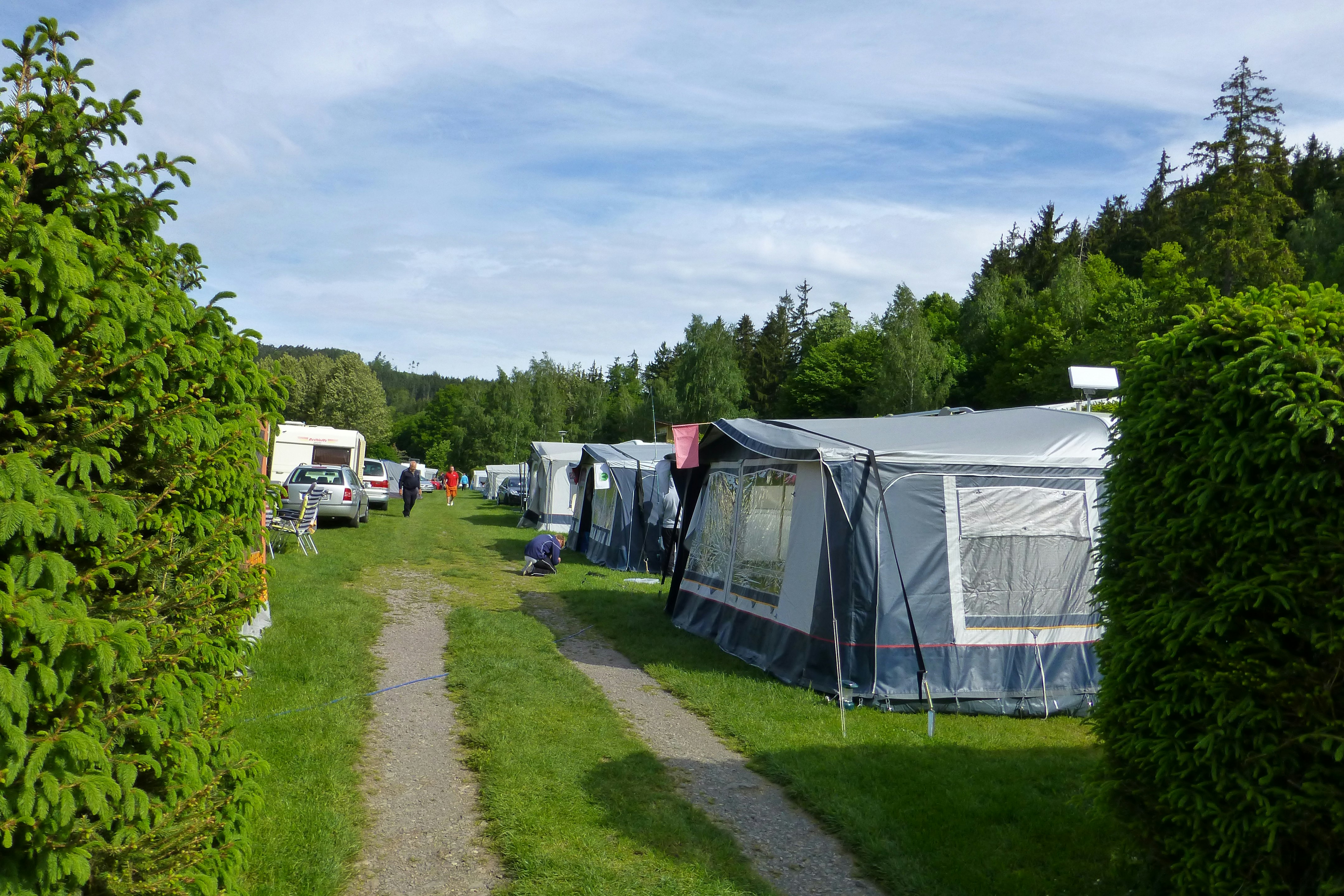 Campingplatz Neumannshof - Blick auf die Standplätze auf der Wiese