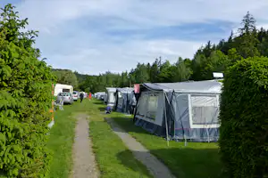 Campingplatz Neumannshof - Blick auf die Standplätze auf der Wiese