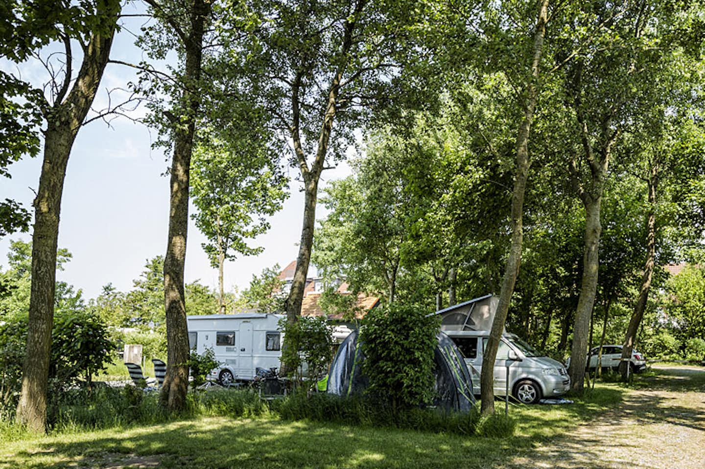 Campingplatz Neuwarft - Wohnmobilstellplätzen unter Bäumen