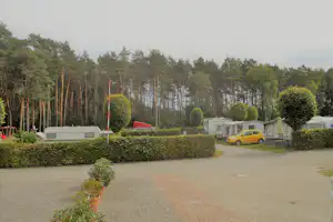 Campingplatz Niemeyer Bockelriede - Stellplätze umringt von Wald