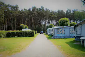 Campingplatz Niemeyer Bockelriede - Stellplatzansicht