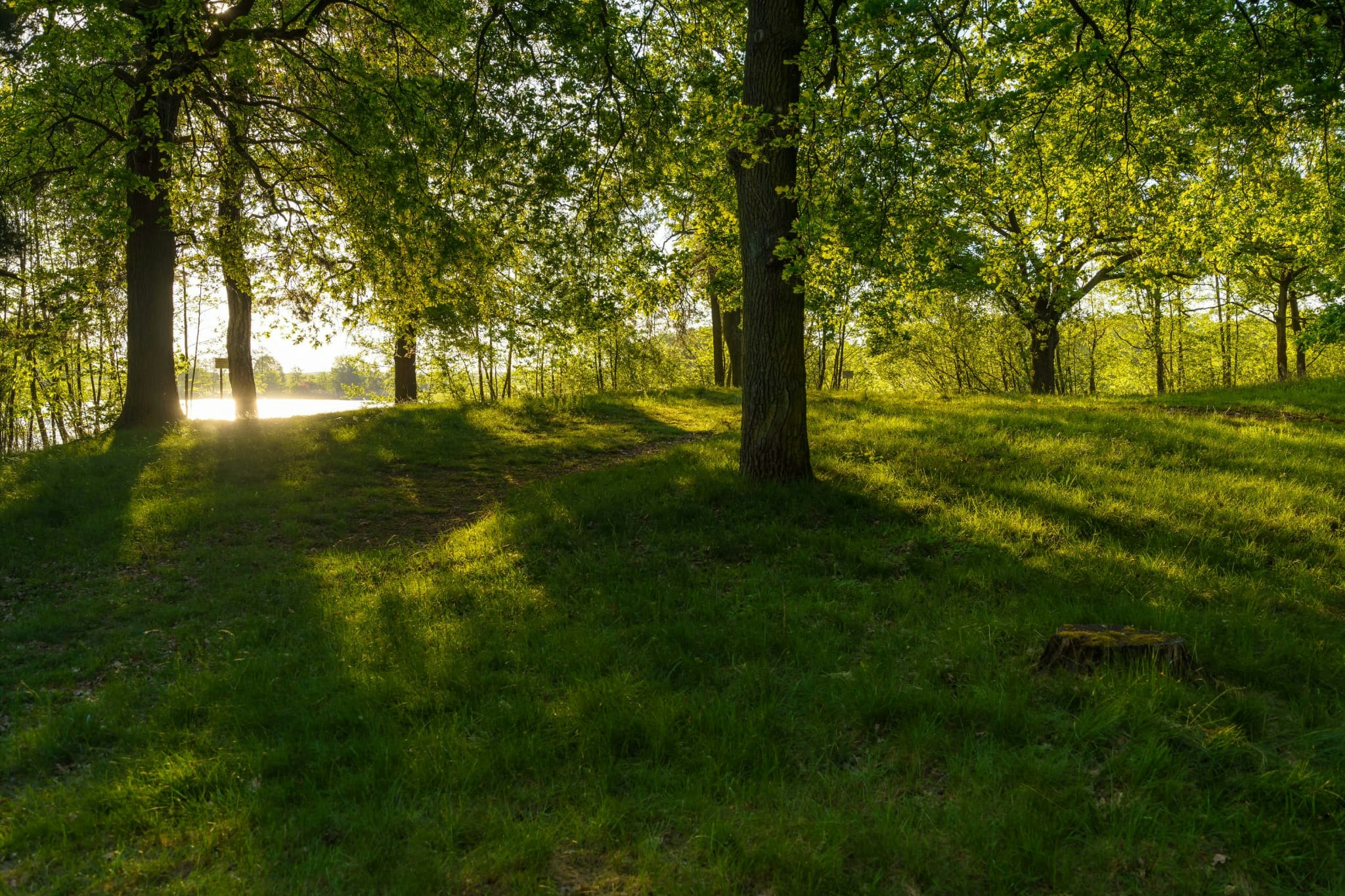 Campingplatz Oberer Waldteich Boxdorf - Standplätze im Grünen auf dem Campingplatz