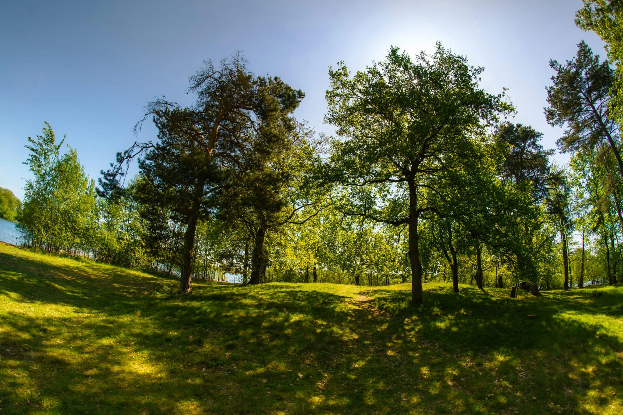 Campingplatz Oberer Waldteich Boxdorf - Standplätze zwischen den Bäumen auf dem Campingplatz