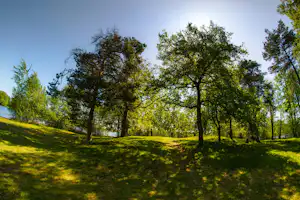 Campingplatz Oberer Waldteich Boxdorf - Standplätze zwischen den Bäumen auf dem Campingplatz