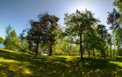 Campingplatz Oberer Waldteich Boxdorf
