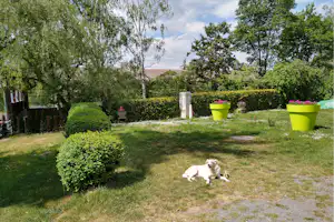 Grüner Campinggarten mit Hecken, Rasenfläche und mehreren bunten Blumentöpfen; im Vordergrund liegt ein Hund auf dem Weg.