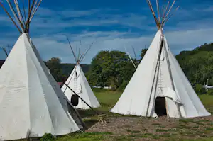 Mehrere Tipi-Zelte auf einem Campingplatz, mit Grasboden und Bäumen im Hintergrund unter blauem Himmel.