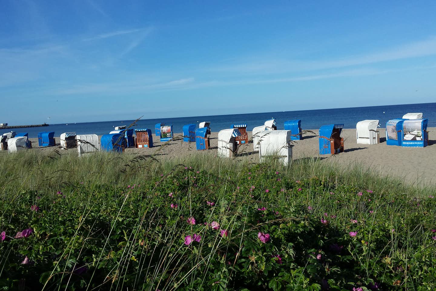 Campingplatz Olpenitz - Strandkörbe am Strand mit Blick auf die Ostsee in der Nähe des Campingplatzes