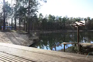 Blick auf den See mit Holzsteg, Steggeländer und Wald aus hohen Bäumen am Campingplatz.
