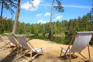Camping-Liegen am Seeufer im Wald, Blick auf ruhiges Wasser, Sandweg und hohe Bäume am Ufer.