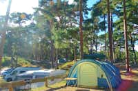 Campingplatz Ostseeblick  - Zelt auf dem Stellplatz vom Campingplatz