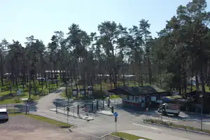 Campingplatz mit Stellplätzen, breitem Weg und mehreren Wohnwagen zwischen hohen Kiefern im Wald.