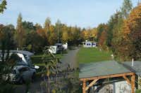 Campingplatz Platzermühle  -  Stellplätze vom Campingplatz im Grünen zwischen Bäumen