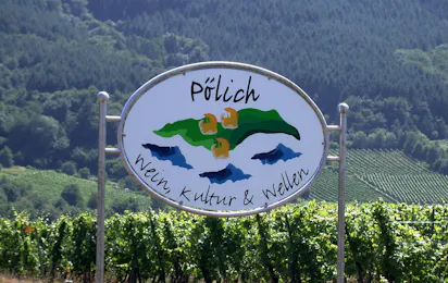 Moselcamping Pölicher Held
