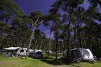Campingplatz Pommernland  -  Wohnwagen und Wohnmobile auf dem Stellplatz vom Campingplatz zwischen Bäumen