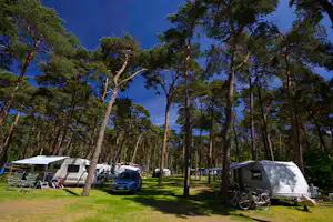 Campingplatz Pommernland - Wohnwagen und Wohnmobile auf dem Stellplatz vom Campingplatz zwischen Bäumen