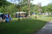 Campingplatz Rueppenhof  -  Wohnwagen- und Zeltstellplatz zwischen Bäumen auf dem Campingplatz
