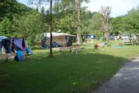 Campingplatz Rueppenhof  -  Wohnwagen- und Zeltstellplatz zwischen Bäumen auf dem Campingplatz