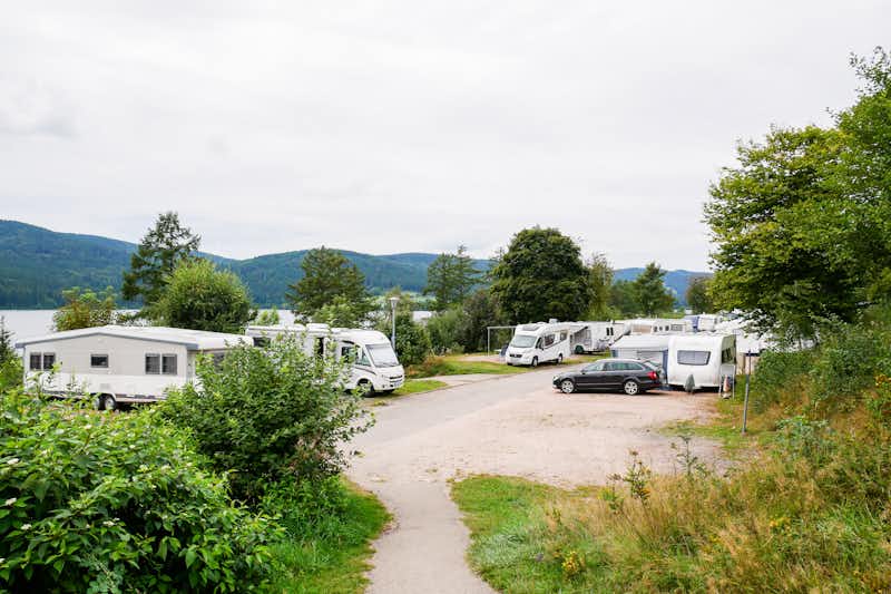 Campingplatz Schluchsee  -  Wohnwagen und Wohnmobile auf dem Campingplatz im Grünen