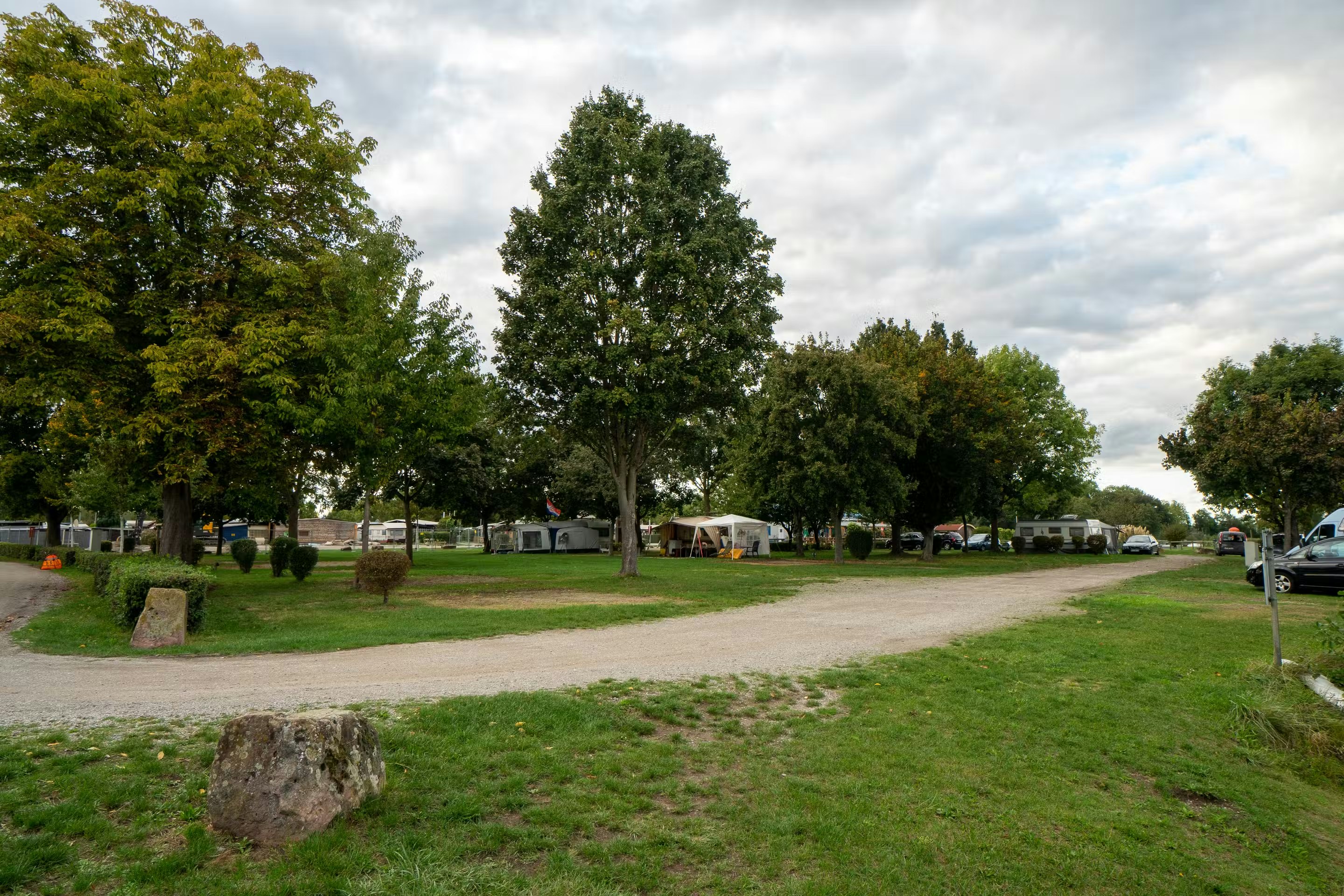 Campingplatz Schuttern - Blick auf die Standplätze auf der Wiese