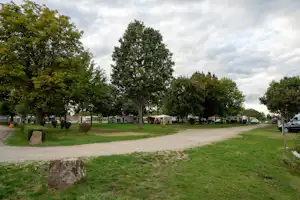 Campingplatz Schuttern - Blick auf die Standplätze auf der Wiese