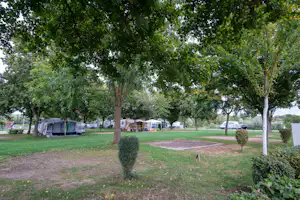 Campingplatz Schuttern - Standplatzwiese auf dem Campingplatz