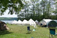 Campingplatz Schwalkenberg  -  Mobilheime und Zelte vom Campingplatz mit direktem Zugang zum See