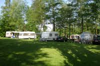 Campingplatz Schwalkenberg  -  Wohnwagen und Wohnmobile auf grüner Wiese im Schatten von Bäumen auf dem Campingplatz