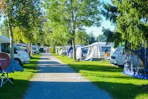 Campingplatz Seewang - Allee auf dem Campingplatz mit Stellplätzen an den Seiten