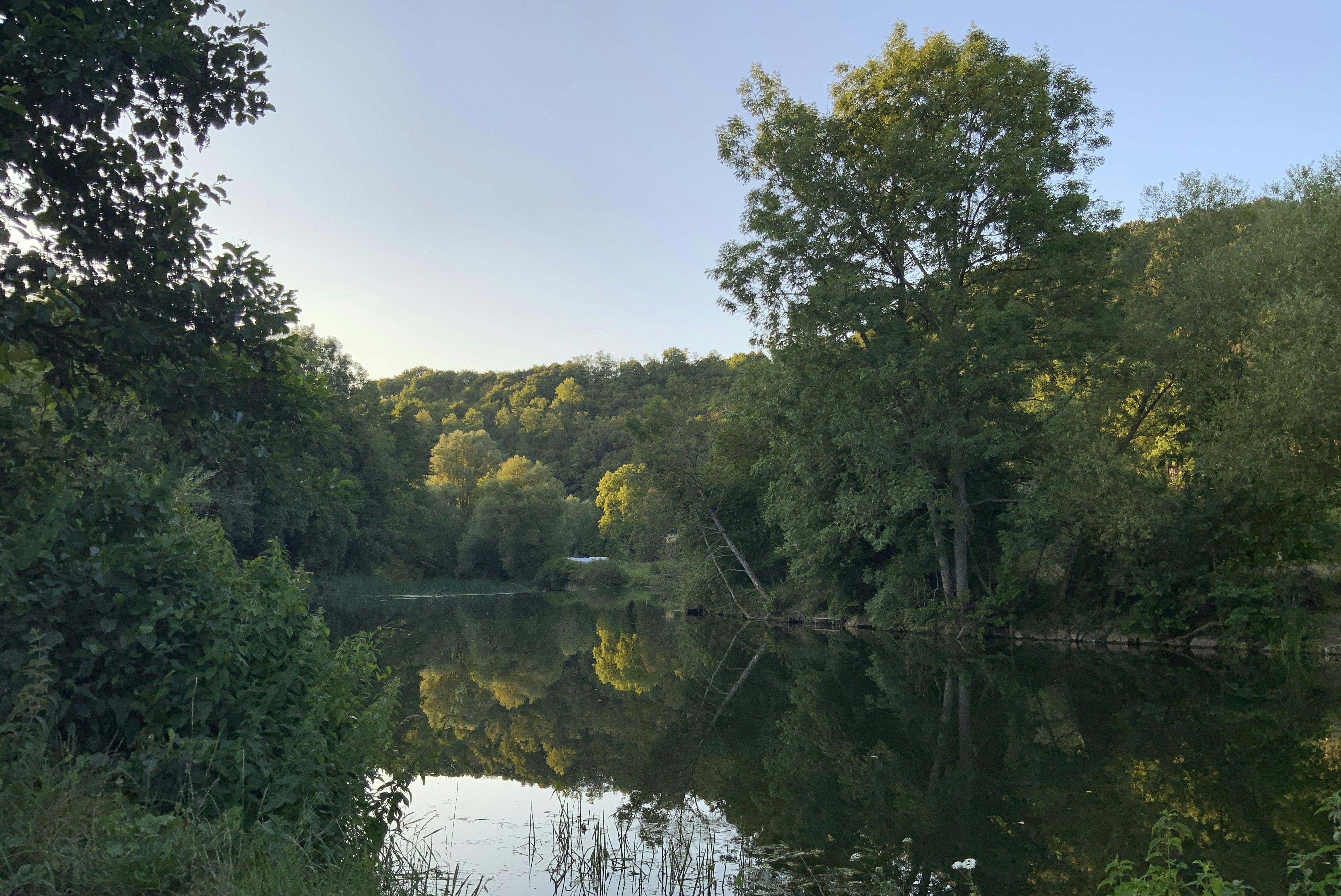 Nied | Camping Siersburg  Campingplatz Siersburg - Blick auf den See umgeben von Wald