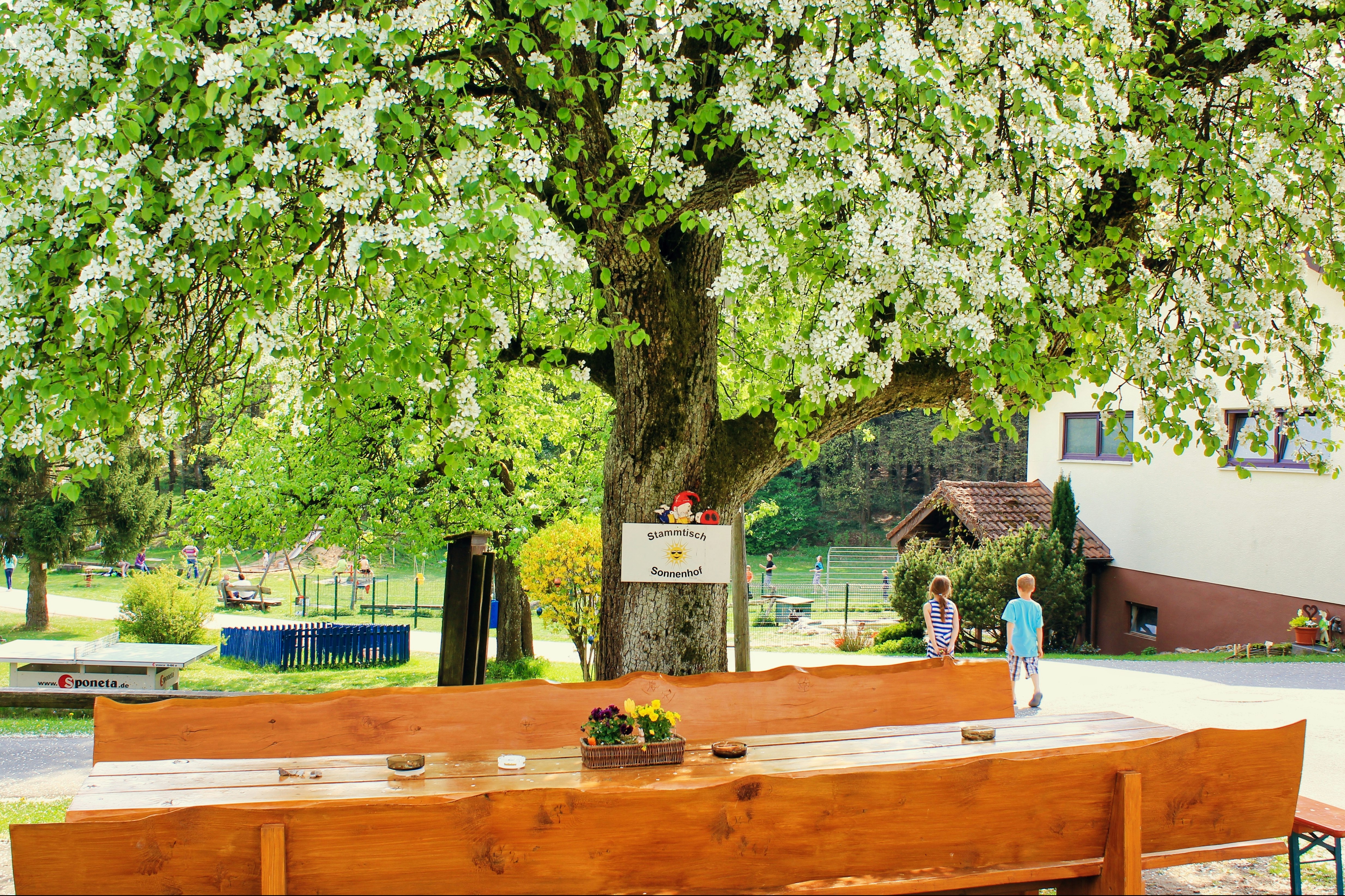 Campingplatz Sonnenhof  Campingplatz SONNENHOF - Terrasse auf dem Campingplatz