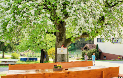 Campingplatz SONNENHOF