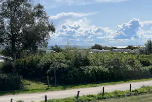 Blick auf Wohnmobile im Campingplatz, umgeben von Bäumen und Hecken, mit Weg und Himmel voller Wolken.