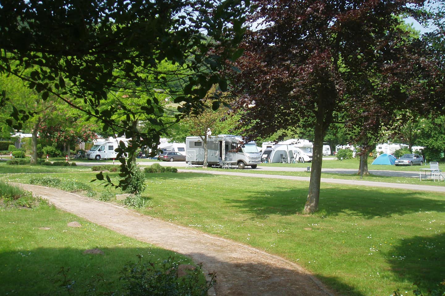 Campingplatz Sonnenwiese - Blich auf das Campingplatzegelände mit Bäumen und kleinen Sträuchern 