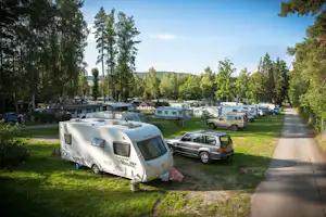 Campingplatz Stausee Hohenfelden - Wohnwagen- und Zeltstellplatz, umringt von Bäumen