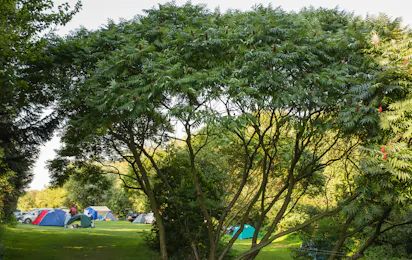 Campingplatz Südstrand