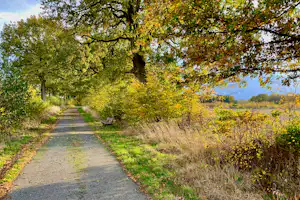 Campingplatz Tante Henni - Fahrradweg im Grünen auf dem Campingplatz