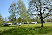 Campingplatz Thayapark - Gepflegte Wohnwagenstellplätze auf grüner Wiese