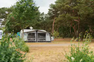 Campingplatz Thiessow - Wohnwagen- und Zeltstellplatz vom Campingplatz im Grünen
