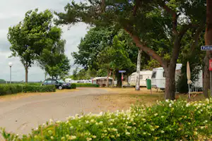 Campingplatz Thiessow - Wohnwagenstellplatz und Wohnmobilstellplatz vom Campingplatz zwischen Bäumen
