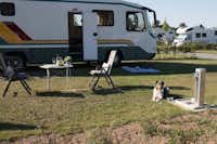 Campingplatz Tiemanns Hof - Hunde willkommen auf dem Campingplatz