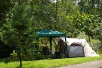 Campingplatz Trendelburg  - Zelt auf dem Stellplatz vom Campingplatz auf grüner Wiese