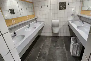 Camping Waldfrieden - Sanitärbereich mit Waschbecken und Spiegel