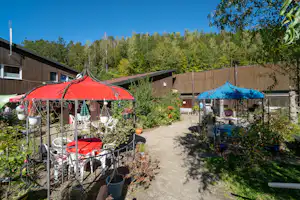 Campinggarten mit roten und blauen Zelten, Sitzbereich unter Markisen, Holzbungalows und Zaun, im Hintergrund Wald.