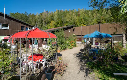 Campingplatz Waldsee